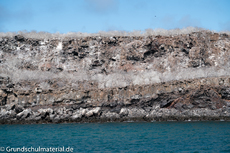 Galapagos-Natur14.jpg